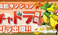 秋のガチャドラ降臨