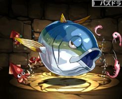 5214富山湾の絶対王者・寒ブリ