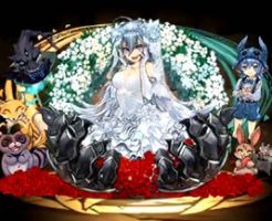 5382-孤峰の花嫁・ゼラ