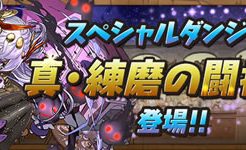 真・練磨の闘技場