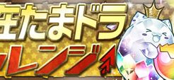 潜在たまドラチャレンジ