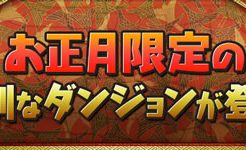 お正月の贈り物