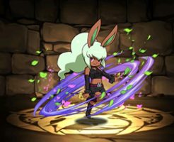 5922バニー・ミント